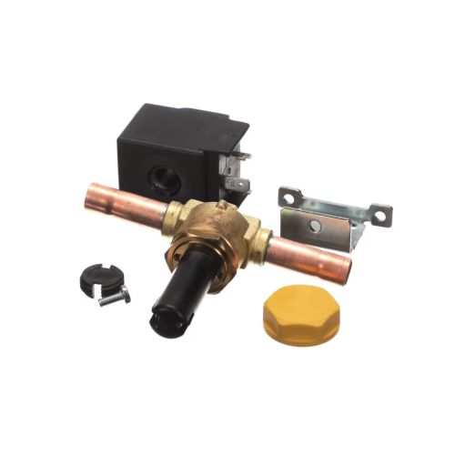 Delfield BCP00184 Solenoid Valve 220–230 VAC 60Hz