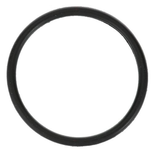 Hobart 67500-00019 Wash Arm O-Ring (2" OD)