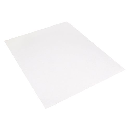 000580 Fry Filter 24X30
