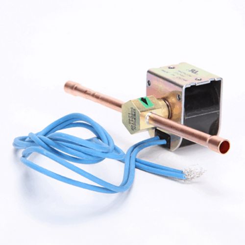 Randell 0RFSOL9801 Solenoid Valve - 120V