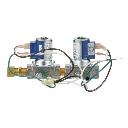 Southbend 1194597 Dual Solenoid Valve  - 120V