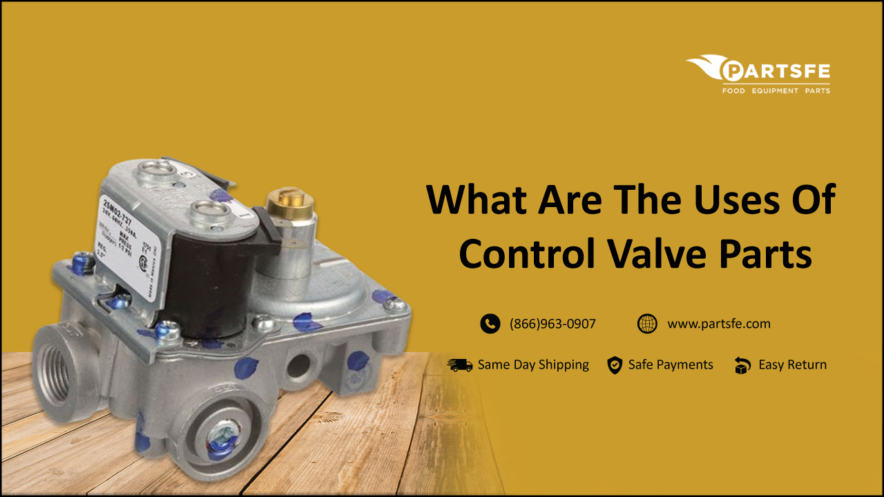 Control Valve Parts- PartsFe